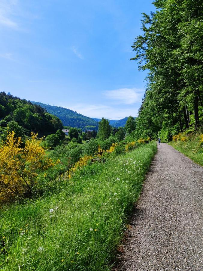 Fewo Albtaleck - Wohnen Im Kurort Waldbronn Exteriör bild