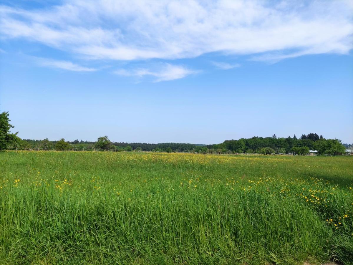Fewo Albtaleck - Wohnen Im Kurort Waldbronn Exteriör bild